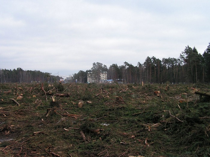 04_2012_Vyrubka_Cagovskij_les_1.jpg