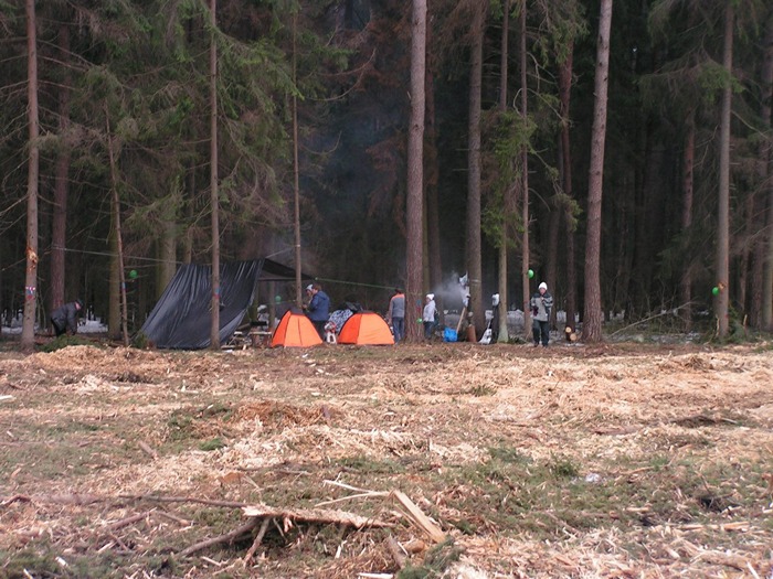 04_2012_Vyrubka_Cagovskij_les_2.jpg