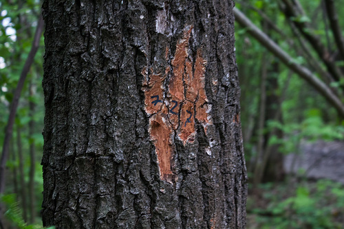 05_2012_Razmetka1.jpg