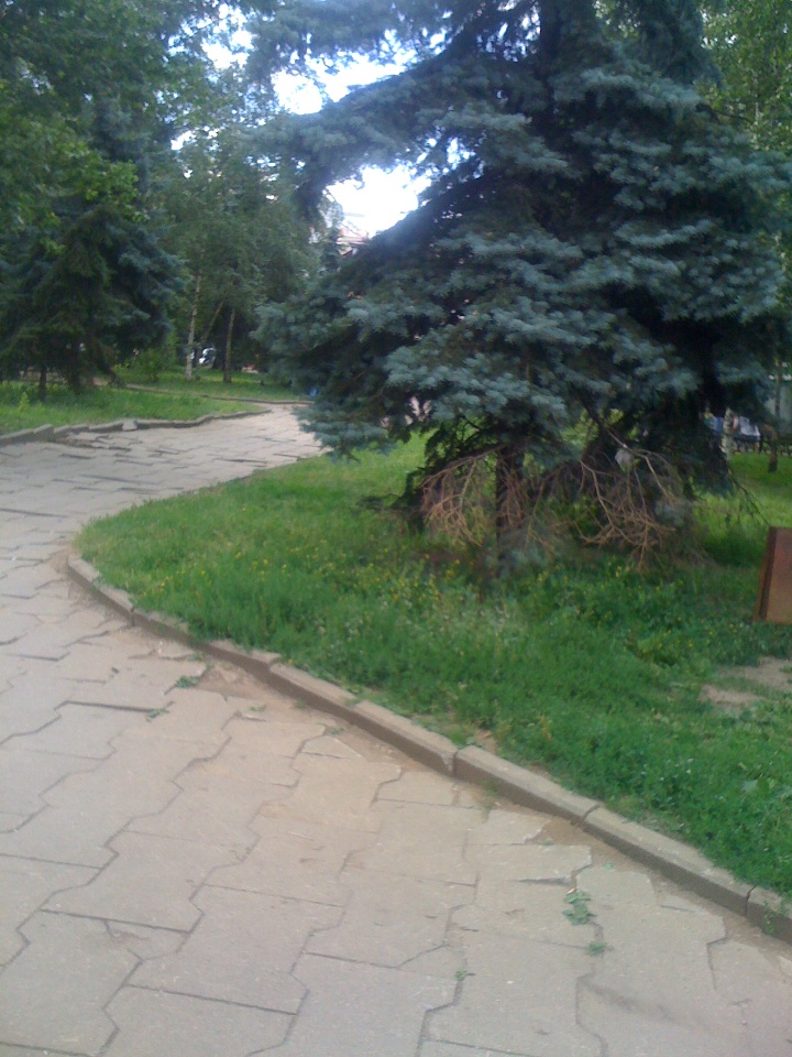 Skver_2012_07.JPG