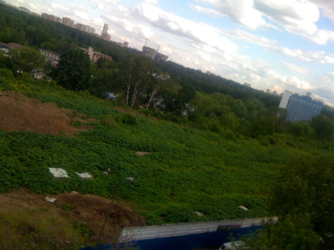 4_06_2012_Yunnatka_2.JPG