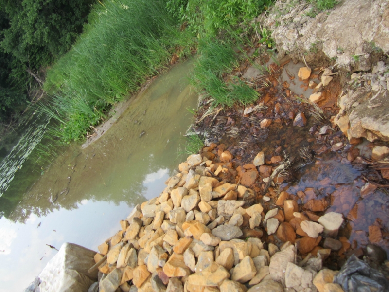 29_06_2013_ecolager6.jpg