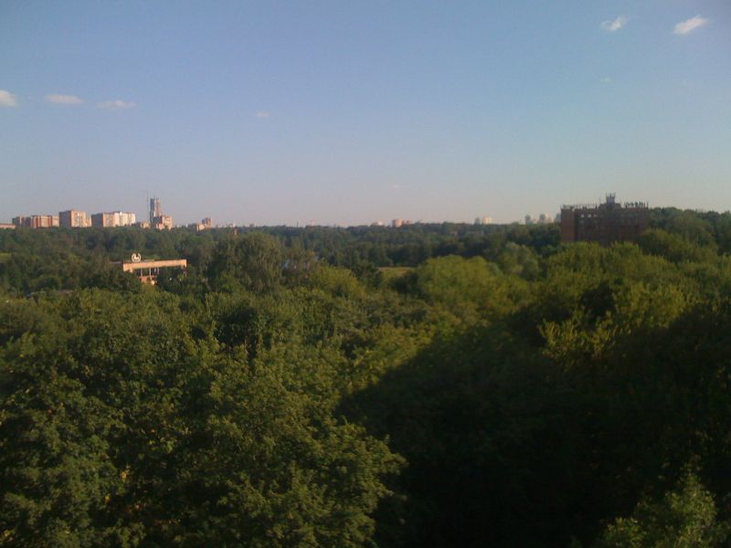 Yunnatka_do_vyrubki_2010.jpg