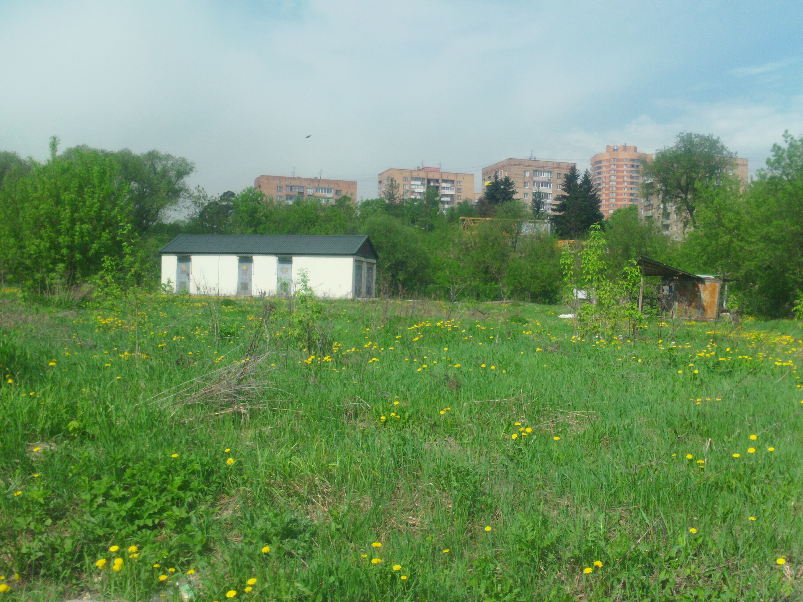 May_15_2013_1__6_.JPG