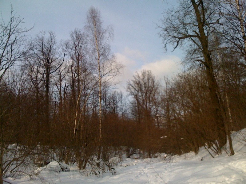 Les_03_2010_1.jpg