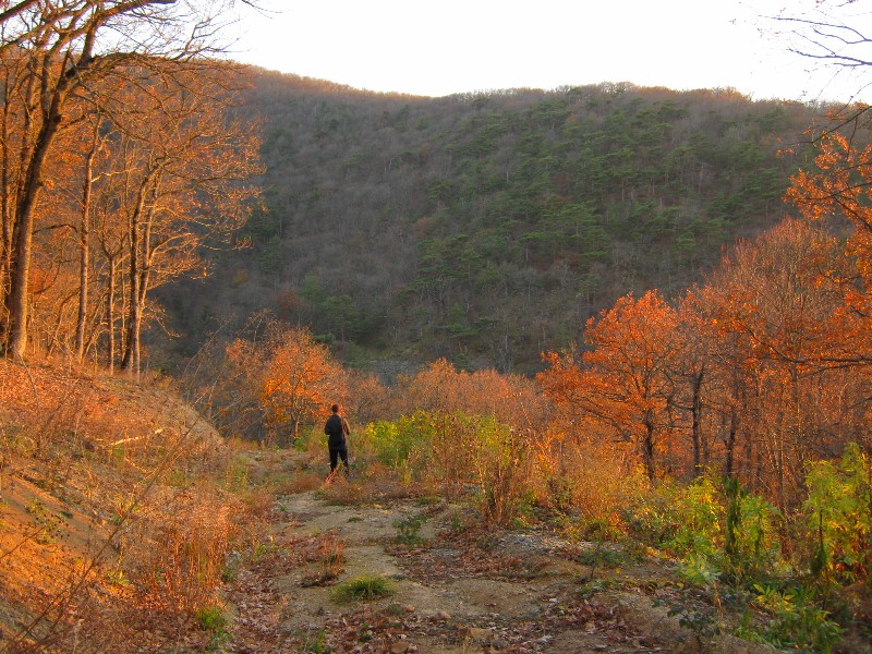 8-11-2010-Utrish3JPG_1.JPG