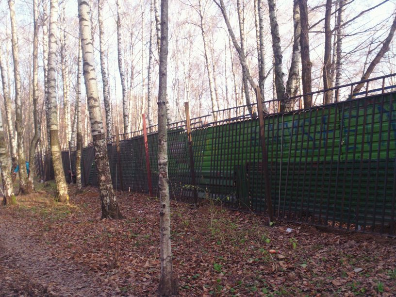 1_11_2013_Park7.JPG