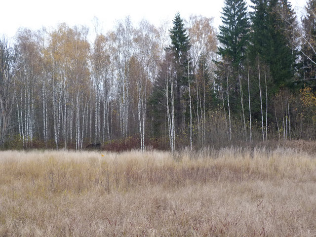 27_10_2011_Les1.jpg