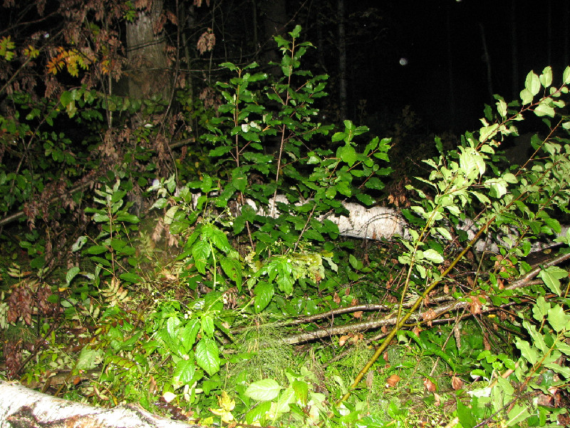 10_09_2011_5.JPG