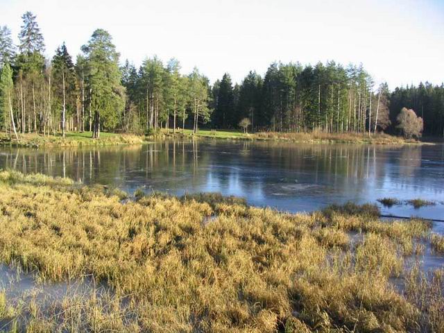 Toksovo_Spb_ozero.jpg