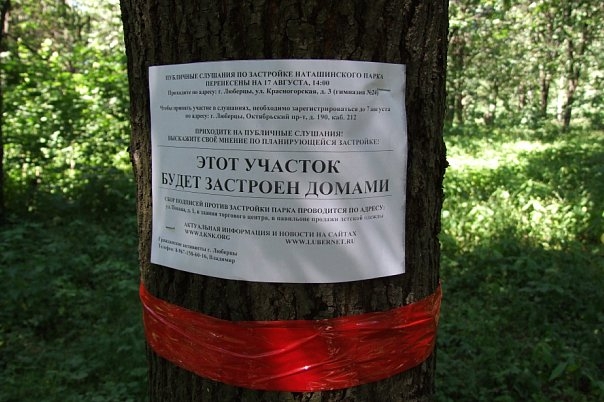 Natash_prudy_listovka.JPG