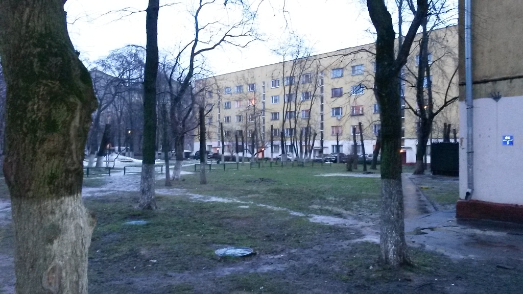 Dereviya_obrubki1.jpg