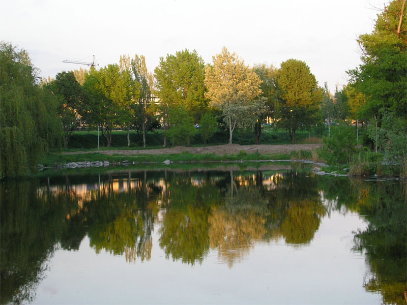 Dubrava.jpg