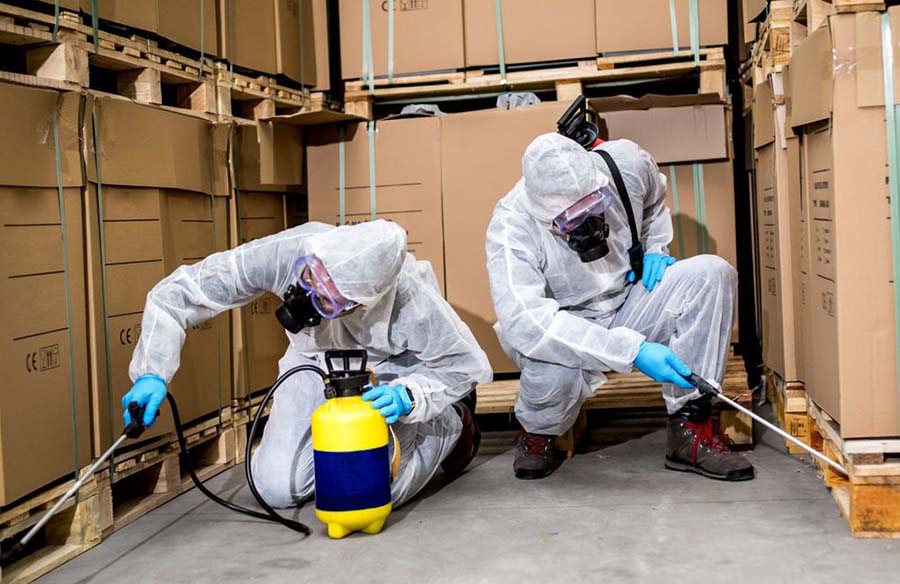 уничтожение грызунов крыс уничтожение грызунов крыс